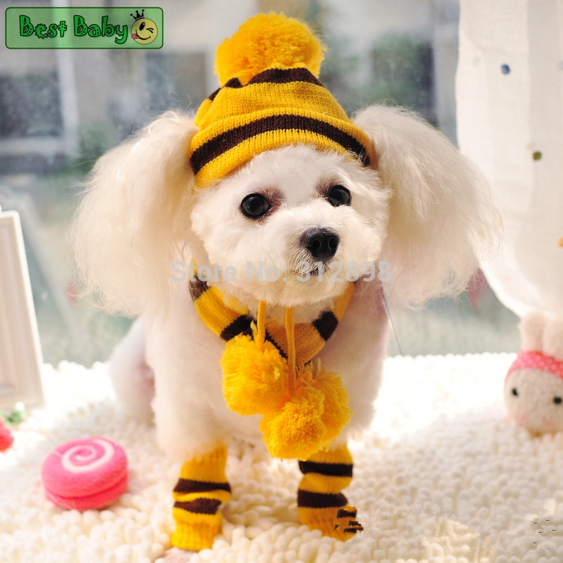 ฤดูหนาวสัตว์เลี้ยงลูกสุนัขอุปก - Baby Products Expo บทวิจารณ์และราคา